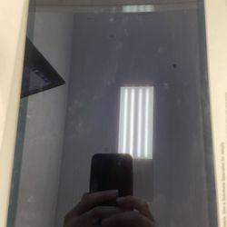 iPad Pro 1st Gen 256G