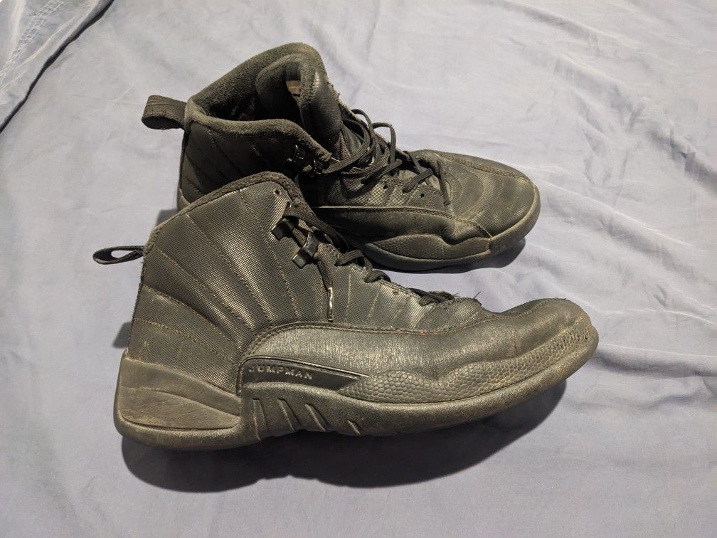Retro Air Jordan 12 Winterized