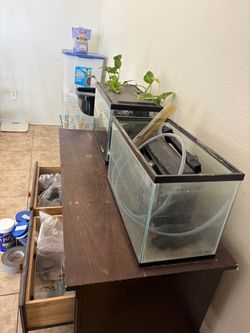 Fish tanks and stands