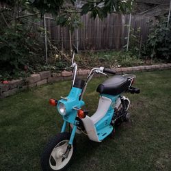 1981 Honda NX50 Express sr