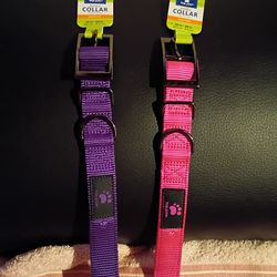 Selling Dog Collars