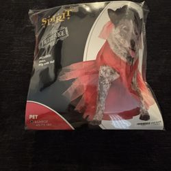 dog beetle juice costume X Large