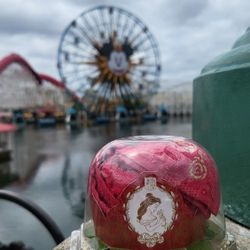 Beauty And The Beast Disney Tokyo 