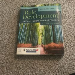 Role Development In Professional Nursing Practice 