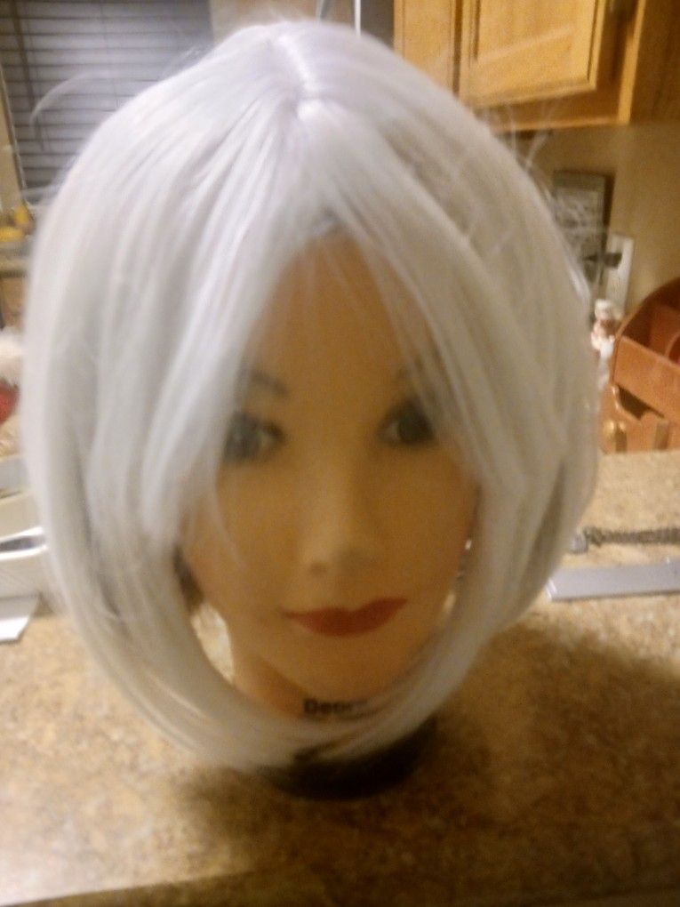 Wig And Mannequin