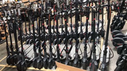 Wholesale Available  350W scooters Open box Like  New