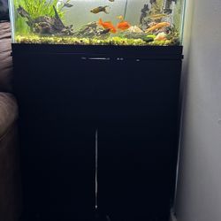 20 Gallon Fish Tank And Stand