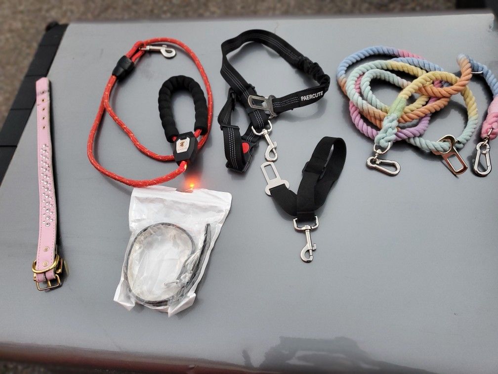 Dog Leashes