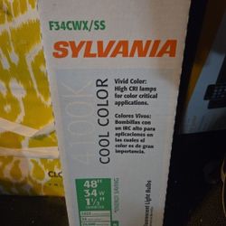 6 New Fluorescent Light Bulbs