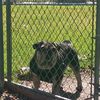 REG