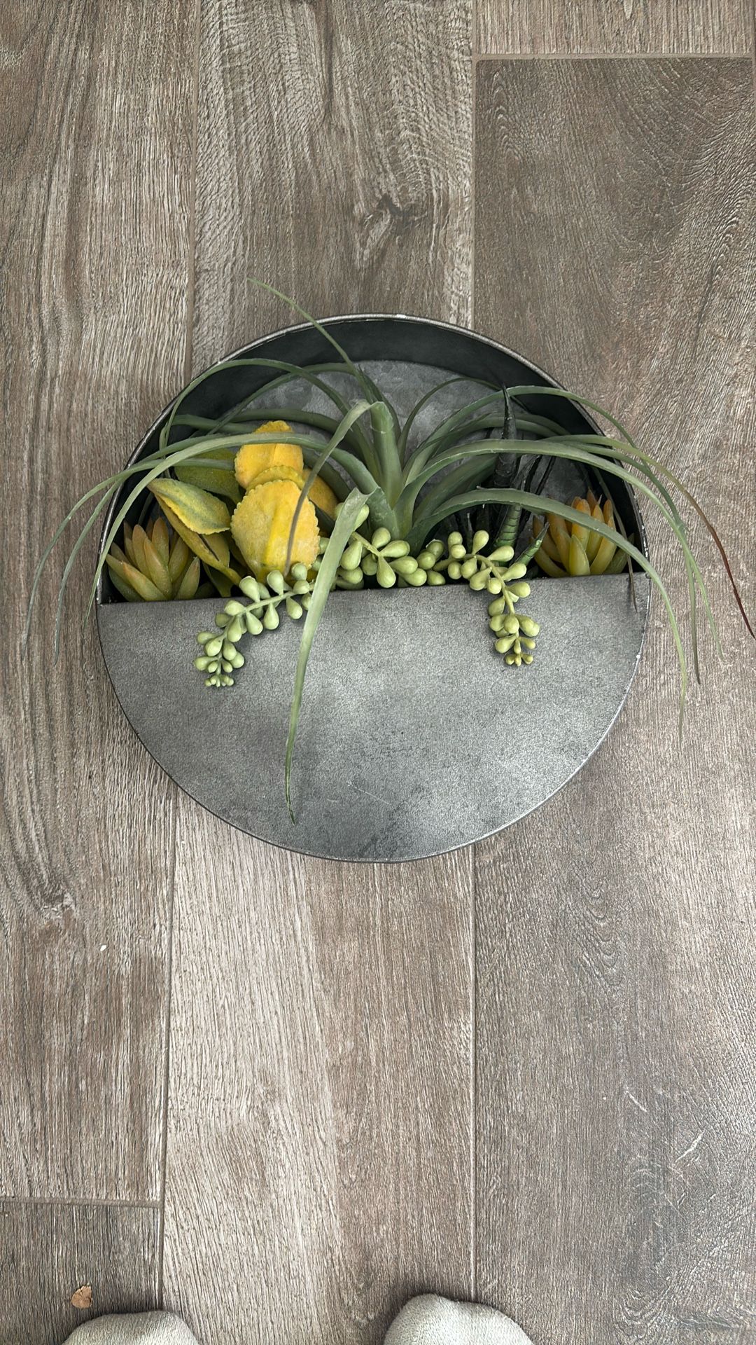 Plant Decoration