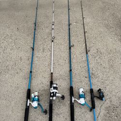 Spincast Reel and Fishing