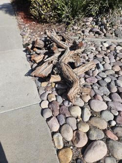 Free Firewood