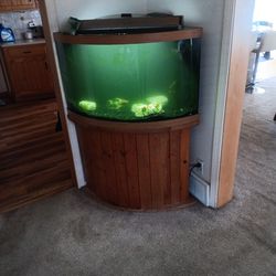 Fish tank and dining room table or Best Offer