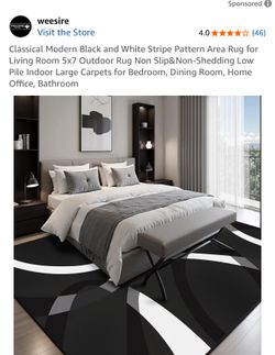 Classical Modern Black and White Stripe Pattern Area Rug for Living Room 5x7 Outdoor Rug Non Slip&Non-Shedding Low Pile Indoor Large Carpets for Bedro