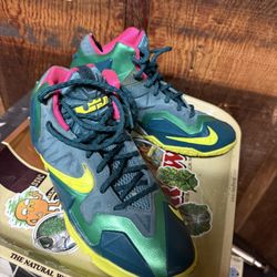 Nike LeBrons 