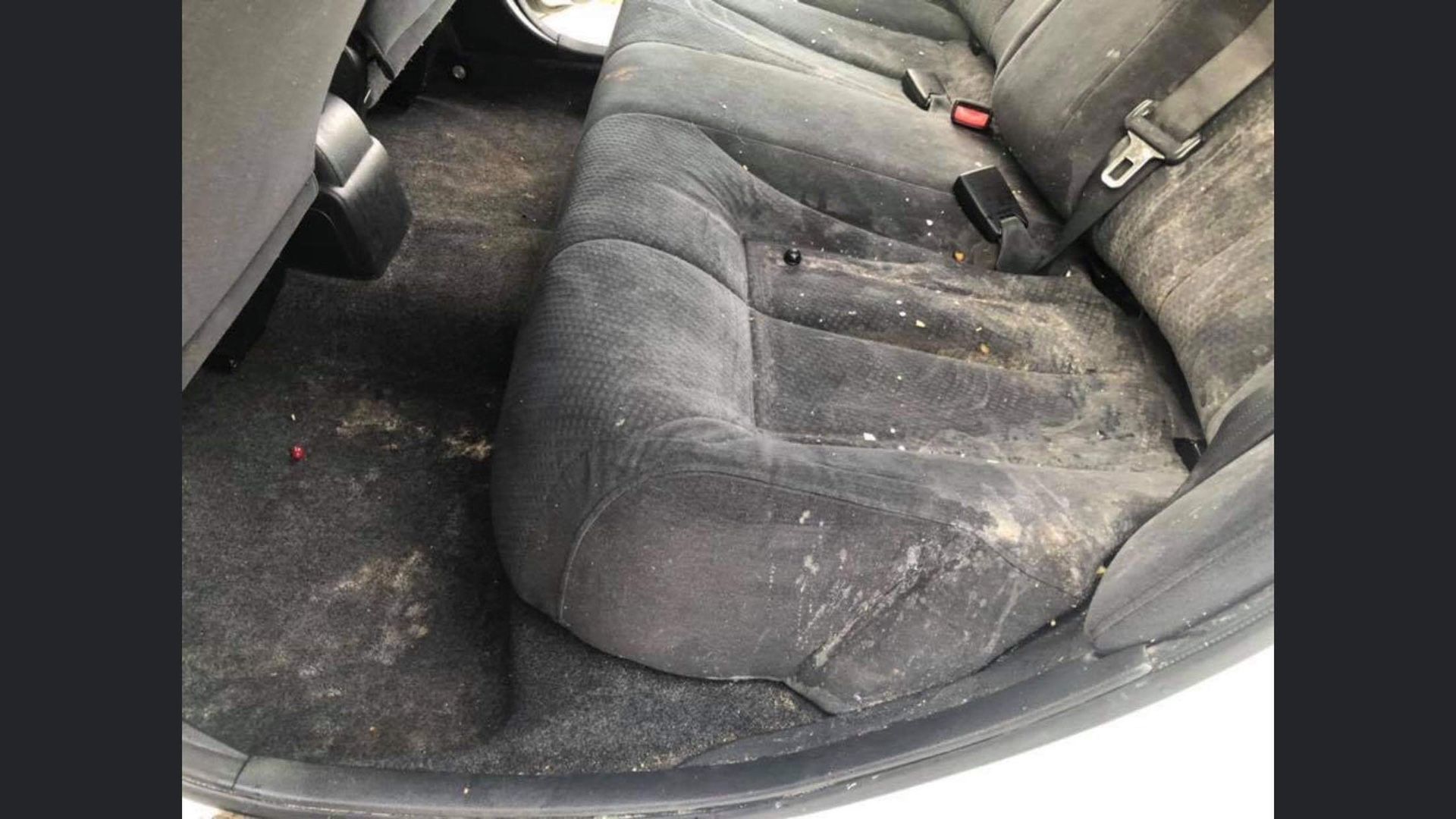Auto interior detail
