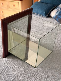 Basketball display case