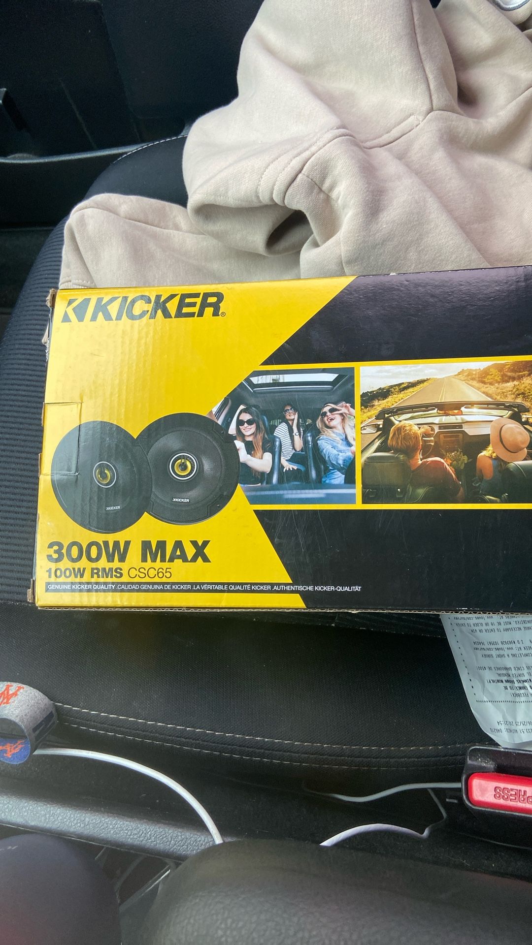 Kicker 300 Watt Max