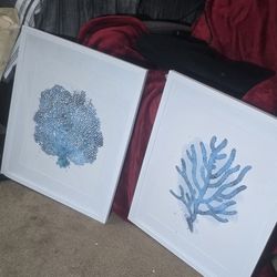 Frames. NEW both $30