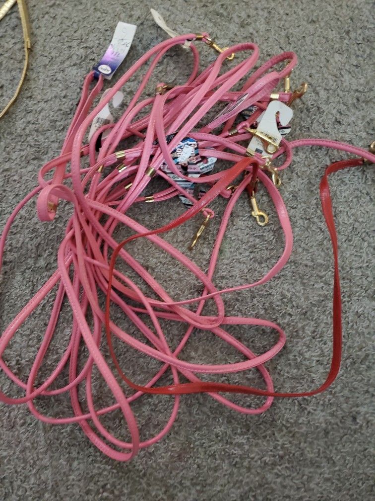 2000$ Worth Of Dog Leashes Collars Outfits Harnesses Etc For 600$