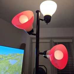$20. MOVING SALE. LAMP - CHANGING COLOR