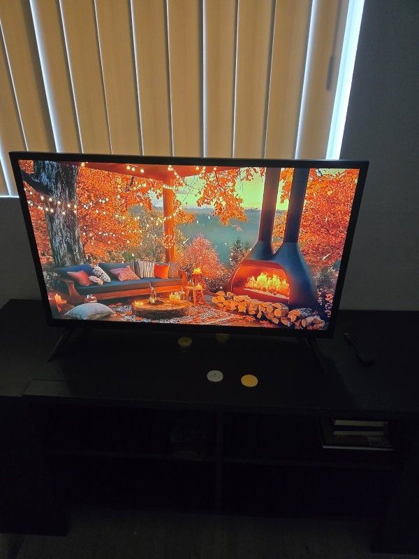 28-in Insignia TV
