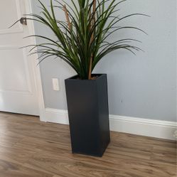 Grass Bush