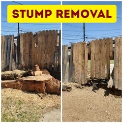 Stump grinding messge, tree messge
