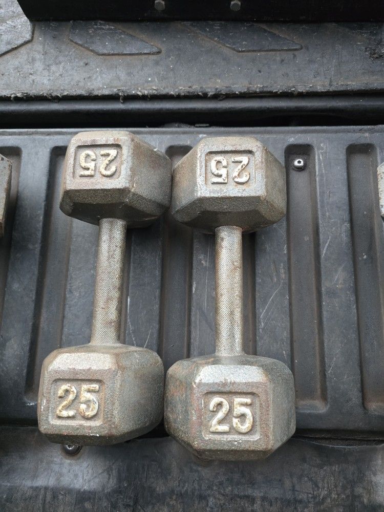 Weight Dumbbells 