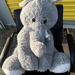 Stuffed Animal 