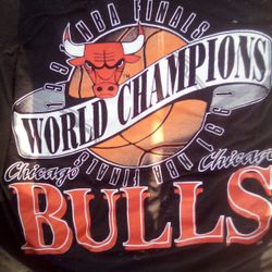 Vintage T Bulls Championship 