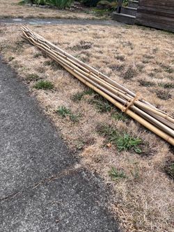 CURB ALERT: 8-10’ bamboo poles
