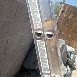 Warner. Ladder......120 cash