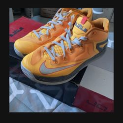 Lebron 11 Low