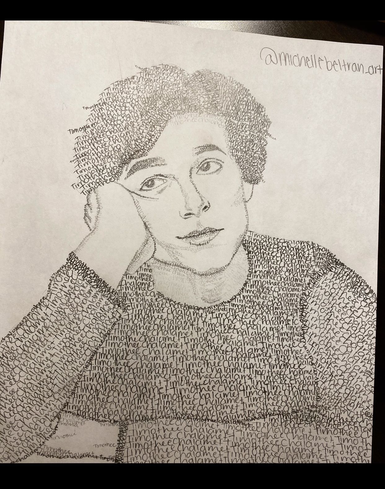 Timothee Chalamet Graphite Drawing