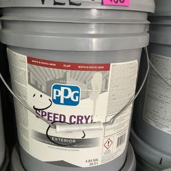 Exterior Paint (Light Pewter)**ON SALE**