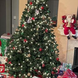High Fiber Christmas Tree 🎄 