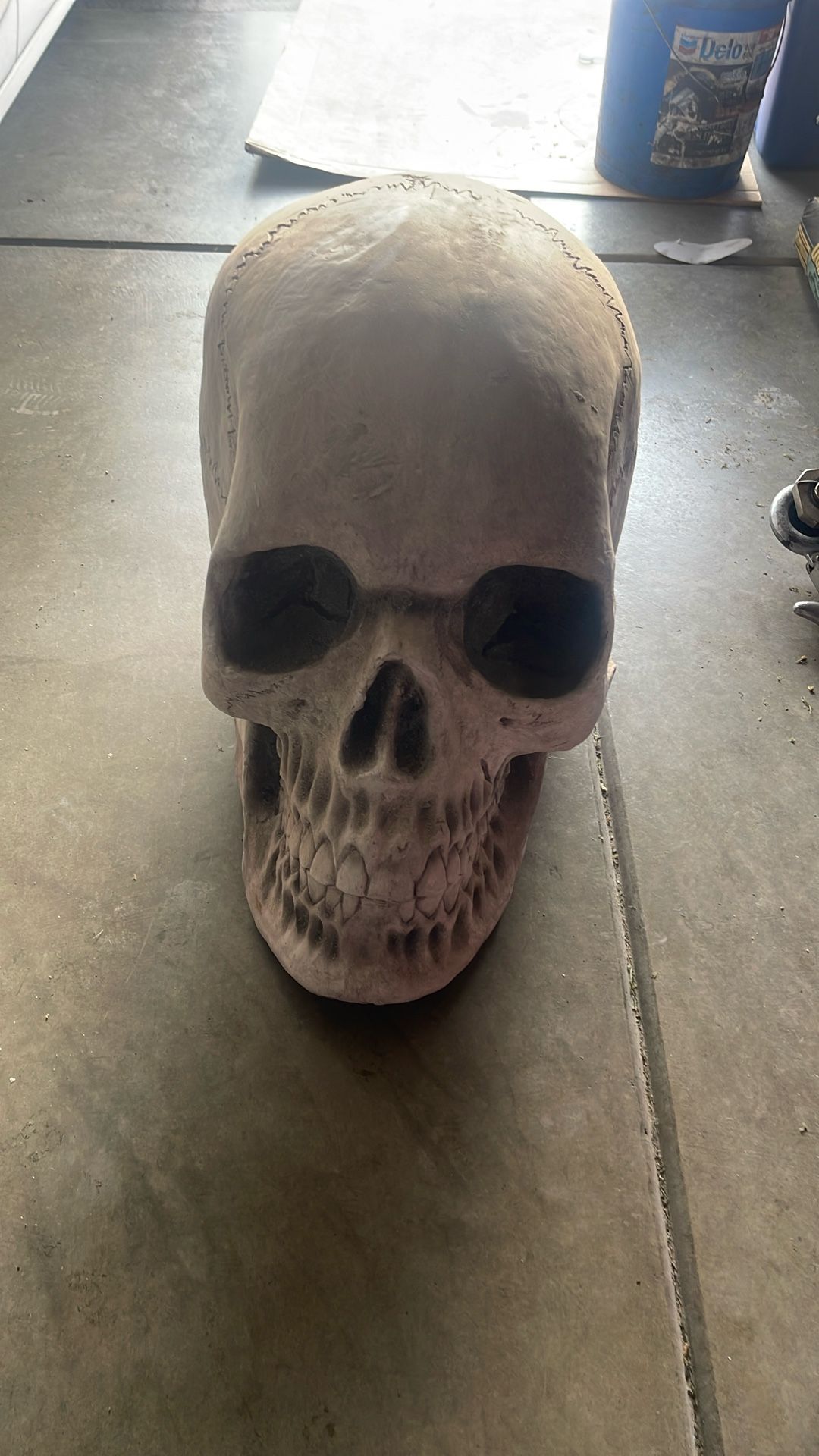 Halloween Decor 