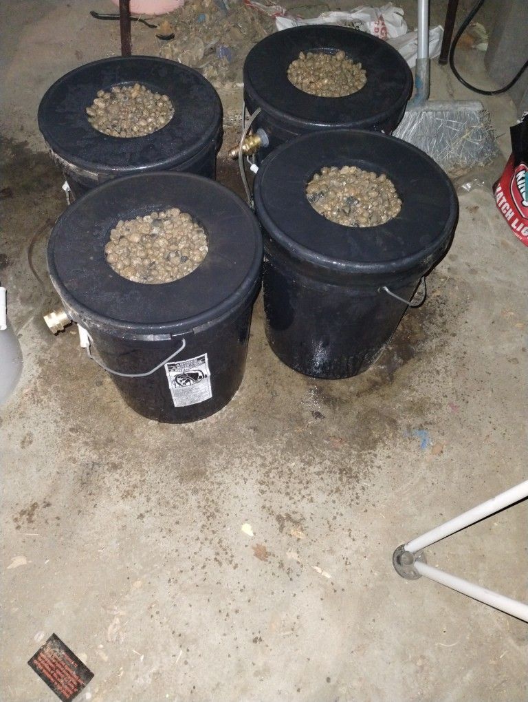 Aeroponic Grow System For Growing Plants Indoors