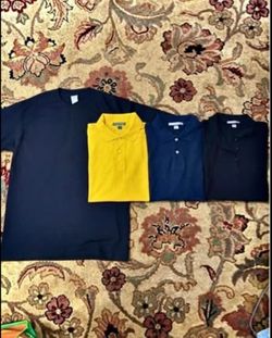💥"Wardrobe Refresh: 4 Men's Shirts (T-Shirt & Polos) - Size L"