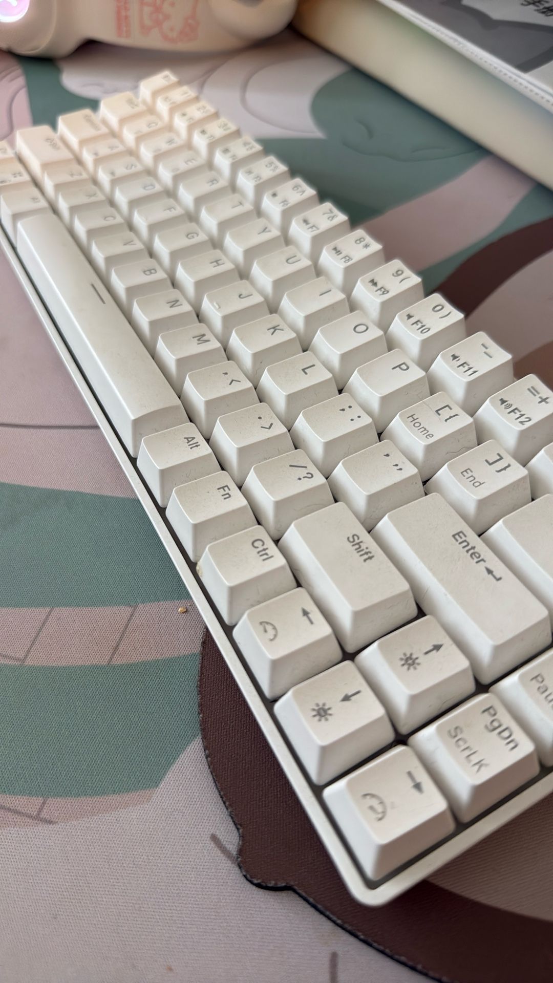 RK Keyboard And Logitech Mouse