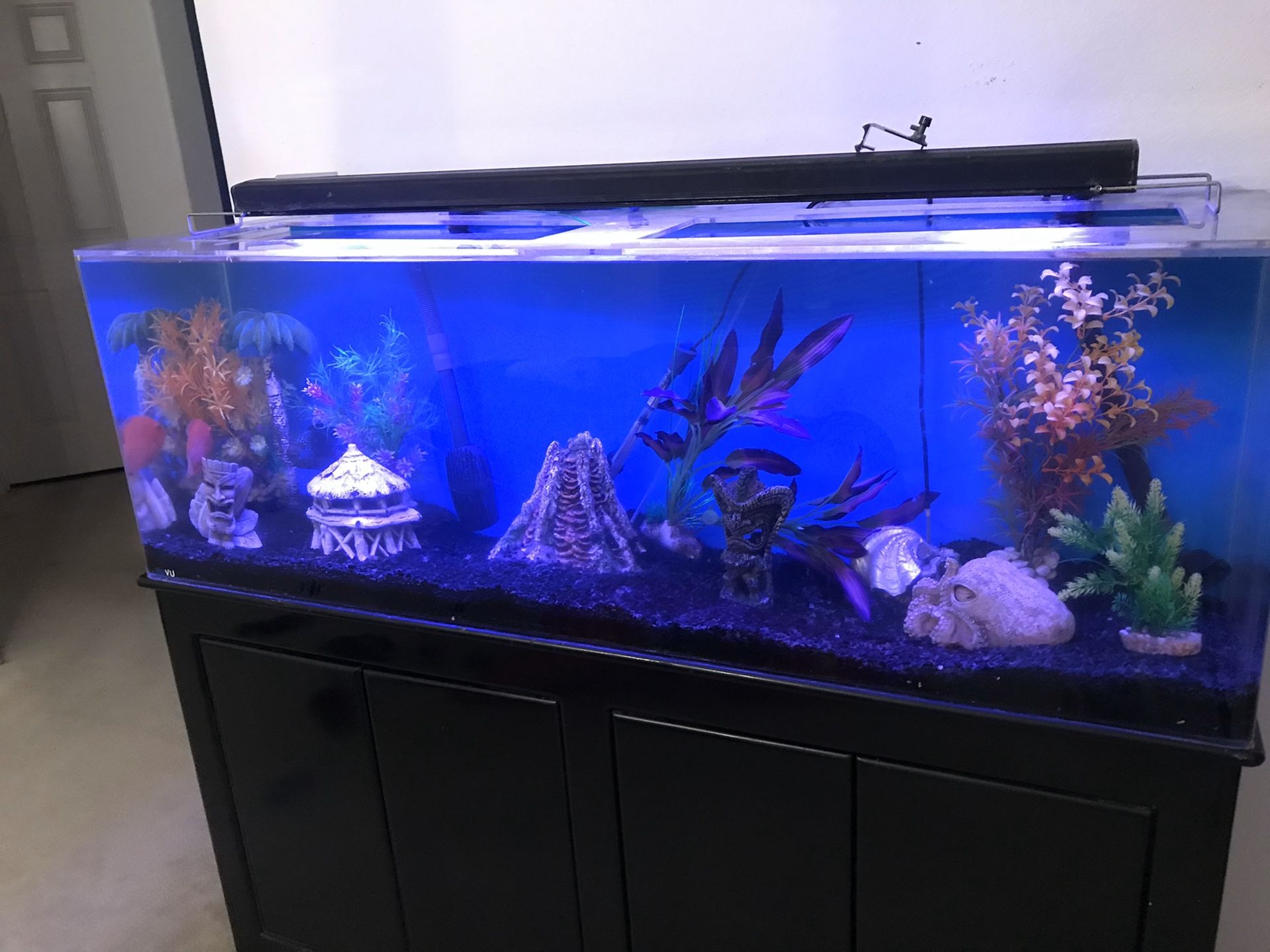 100 gallon acrylic aquarium full set up with stand for Sale in Riverside, CA OfferUp