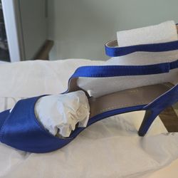 Beautiful Blue Shoes Brand New Size 10