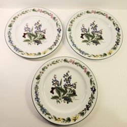 Set of 3 Vintage Royal Worcester "Worcester Herbs" Sage Salad Plates (Green Trim)