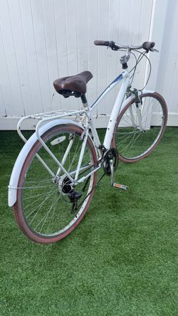 Schwinn community bike