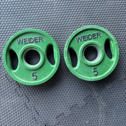 5lbs Weights Plates Pair Set Weider