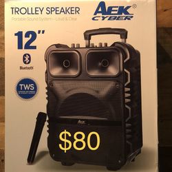 12” AEK CyBer Bluetooth Rechargeable Party Speaker With Microphone And LED Display Lights 🎶🎤🔊