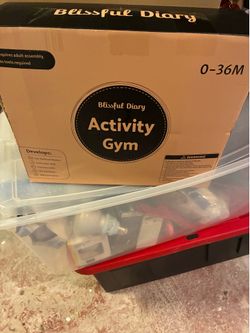 Baby’s Activity gym