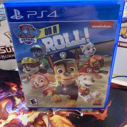 PS4 Paw Patrol Game On A Roll